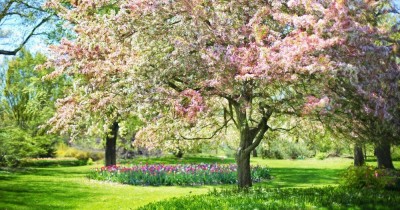 Maximise Your Home Sale - Why Spring could be the Ideal Time
