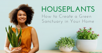 Houseplants: How to Create a Green Sanctuary in Your London Home