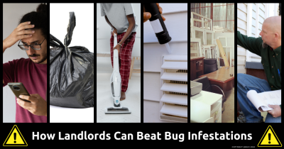Six Steps to Avoid Bug Infestations in Your Rental Property