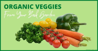 Organic Veggies from Your London Back Garden
