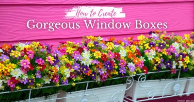 Brighten Up the Exterior of Your Home with Window Boxes