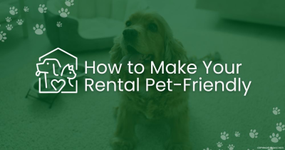 How to Be a Pet-Friendly Landlord