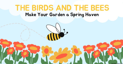 Transform Your London Garden: Pollinator Paradise Awaits