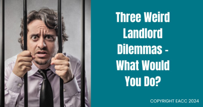 Test Your Landlord Knowledge – How Would You Deal with These Dilemmas?