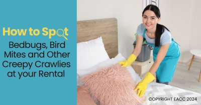 The Pests to Look Out for at Your London  Rental Property