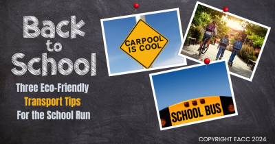 Back to School: Three Eco-Friendly Transport Tips for the School Run