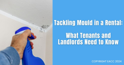 Mould: New Statistics Show This Age-Old Problem Isn’t Going Away