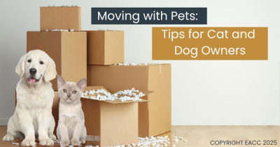 How to Keep Cats and Dogs Calm When Moving House