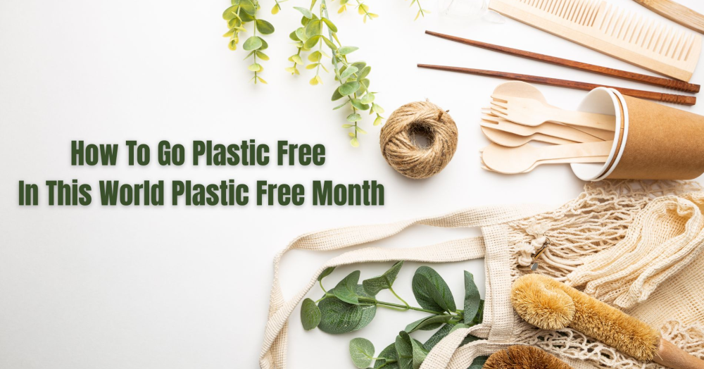 July is Plastic Free Month. Here are Three Ways You Can Help