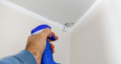 Damp Decoded - When Is it damp or condensation and how to handle it