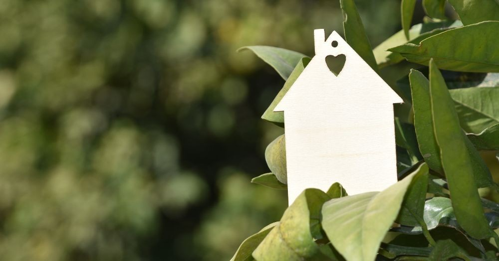 Discover Why Livingston is the Perfect Place to Call Home