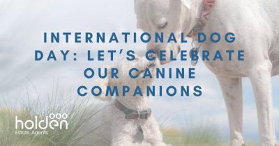 International Dog Day: Let’s Celebrate Our Canine Companions
