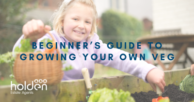 Beginner’s Guide to Growing Your Own Veg