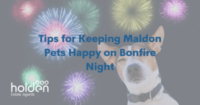 Tips for Keeping Maldon Pets Happy on Bonfire Night