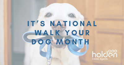 It’s National Walk Your Dog Month