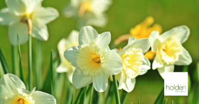 Why Spring is an Excellent Time to Launch Your Property in Maldon