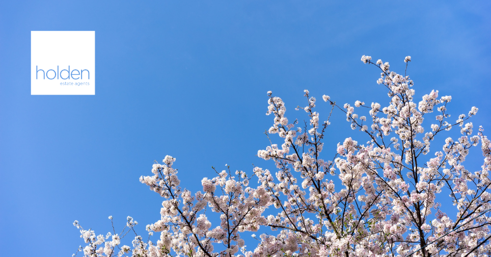 Looking to sell your Maldon Home - Click Here to Read Why Now is the Perfect Time