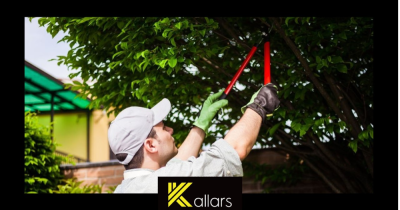 Can you cut the branches hanging over from a neighbour's tree?