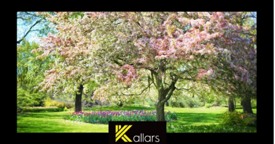 Maximise Your Home Sale - Why Spring could be the Ideal Time