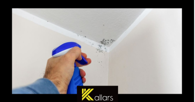 Damp Decoded - When Is it damp or condensation and how to handle it