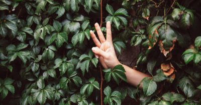 3 reasons you are struggling to find a tenant for your rental property.