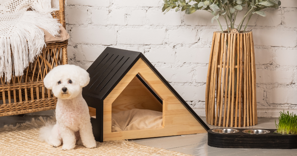 Lets with Pets: Our Top Tips for Renting with Pets