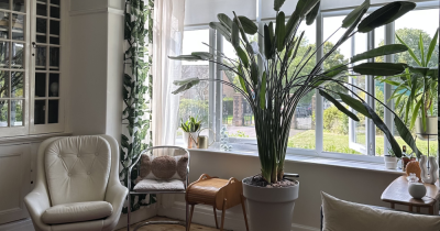 Understanding Our Three Levels Of Lettings Services: Tailored Support For Every Landlord