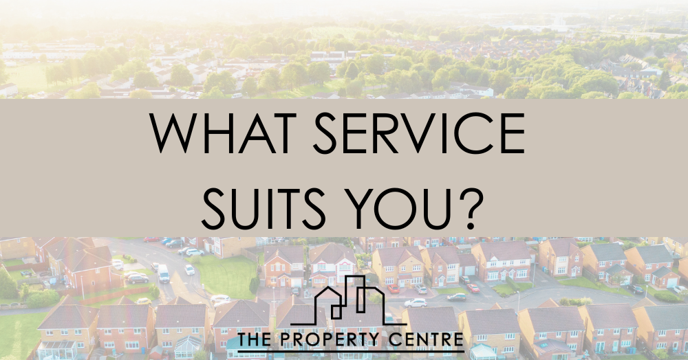 What Services Do We Offer?