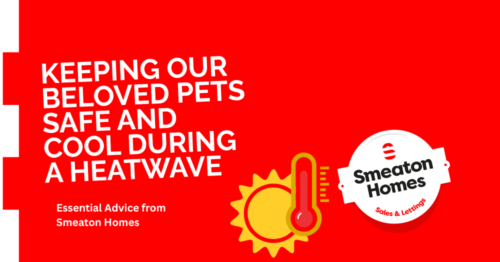 Keeping Our Beloved Pets Safe and Cool During a Heatwave: Essential Advice from Smeaton Homes
