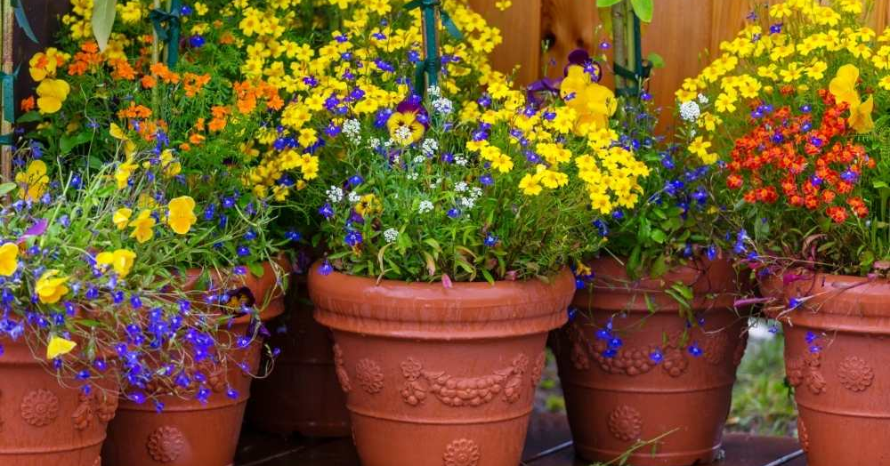 Staging your property for Spring and Summer