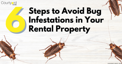 Six Steps to Avoid Bug Infestations in Your Rental Property