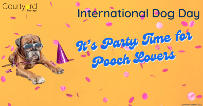 International Dog Day: It’s Party Time for Pooch Lovers in Cheshire