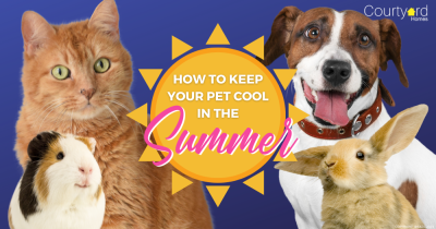 How to Keep Your Culcheth Pet Cool in the Summer