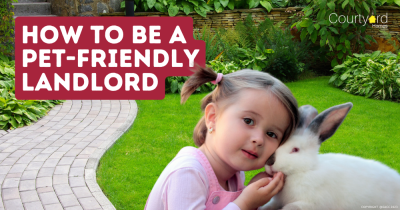 How to Be a Pet-Friendly Landlord in Cheshire