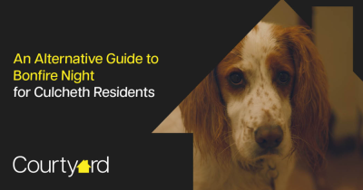 An Alternative Guide to Bonfire Night for Culcheth Residents
