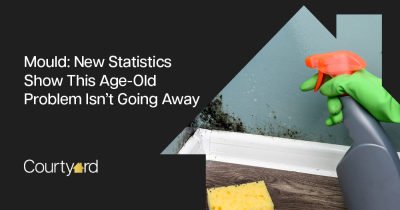 Mould: New Statistics Show This Age-Old Problem Isn’t Going Away