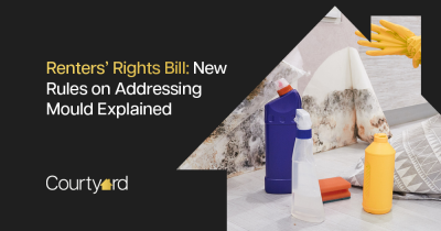 Renters' Rights Bill: New Rules on Addressing Mould Explained