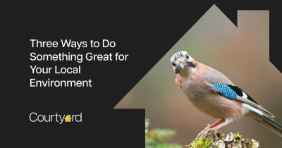 Three Ways to Do Something Great for Your Local Environment