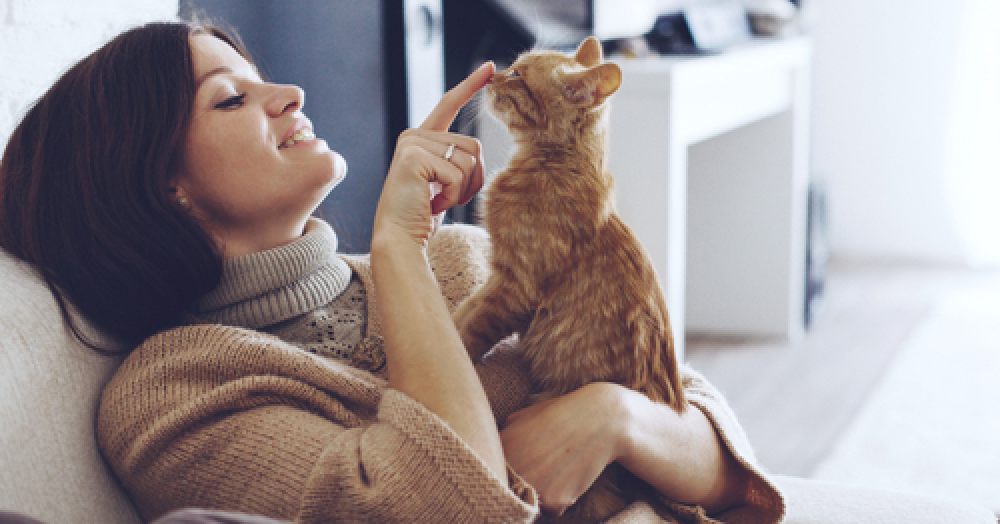 What do tenants really want from a rental property?