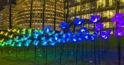 What’s on guide: January