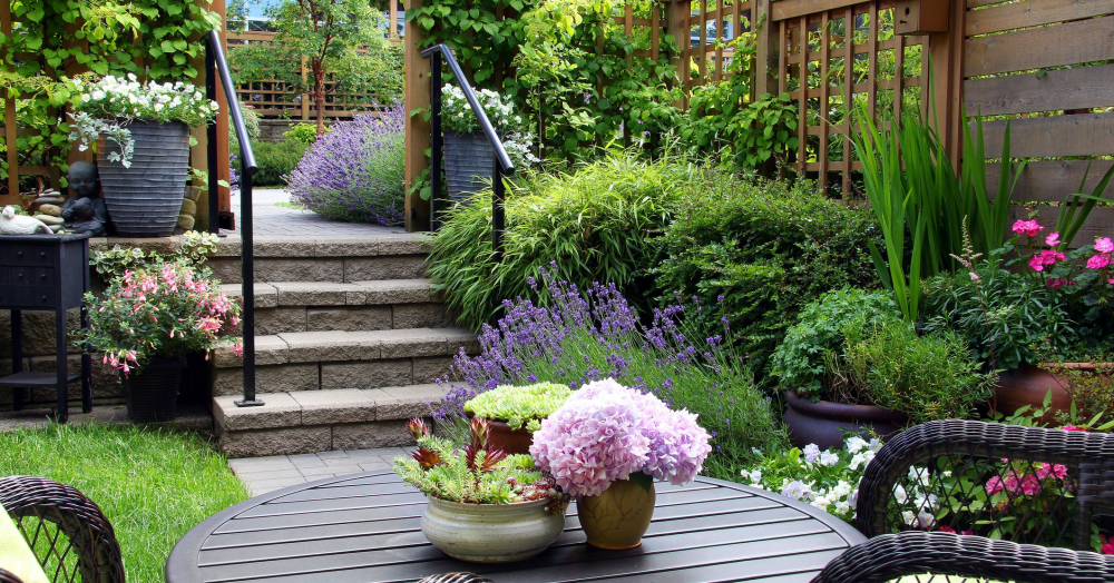 10 ways to improve your garden this summer