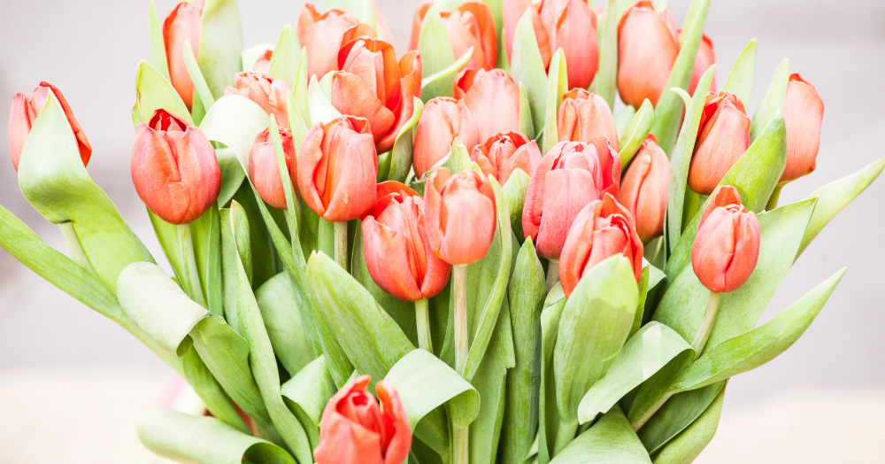 Make the most of the Spring market boost with these top tips