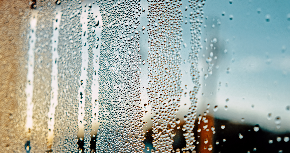 How to tackle condensation in your home before putting it up for sale.