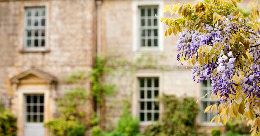 Can these plants in the garden increase the value of your property?