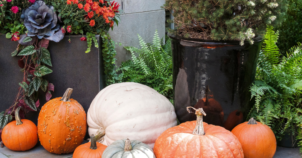 Spooky Strategies- How to Sell Your Home and Still Enjoy Halloween