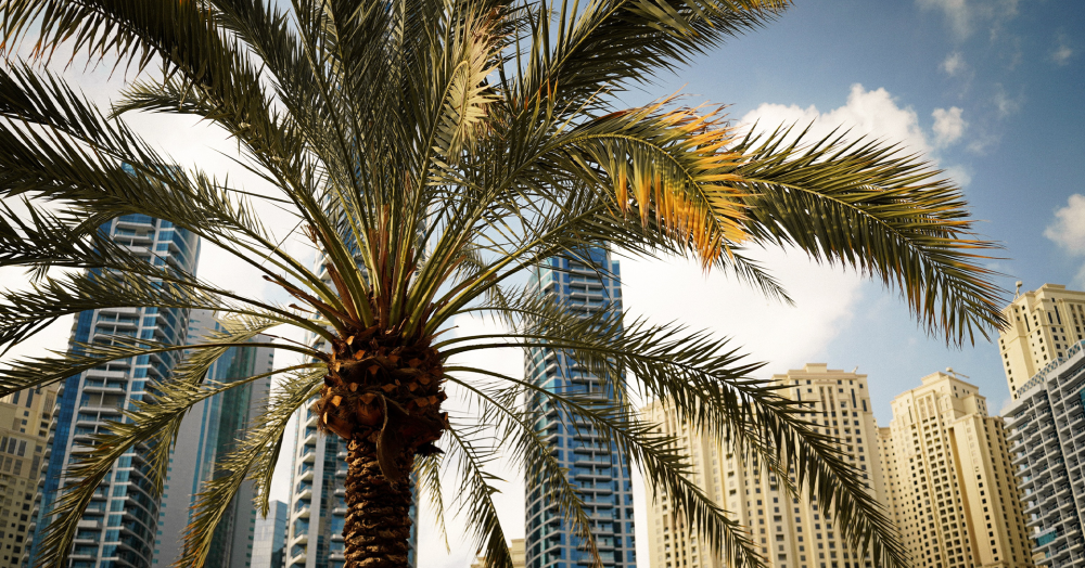 Dubai Real Estate: Is it better to fix a mortgage now or next year?