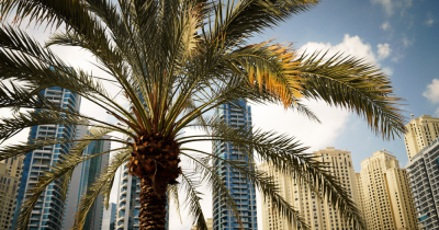 Dubai Real Estate: Is it better to fix a mortgage now or next year?