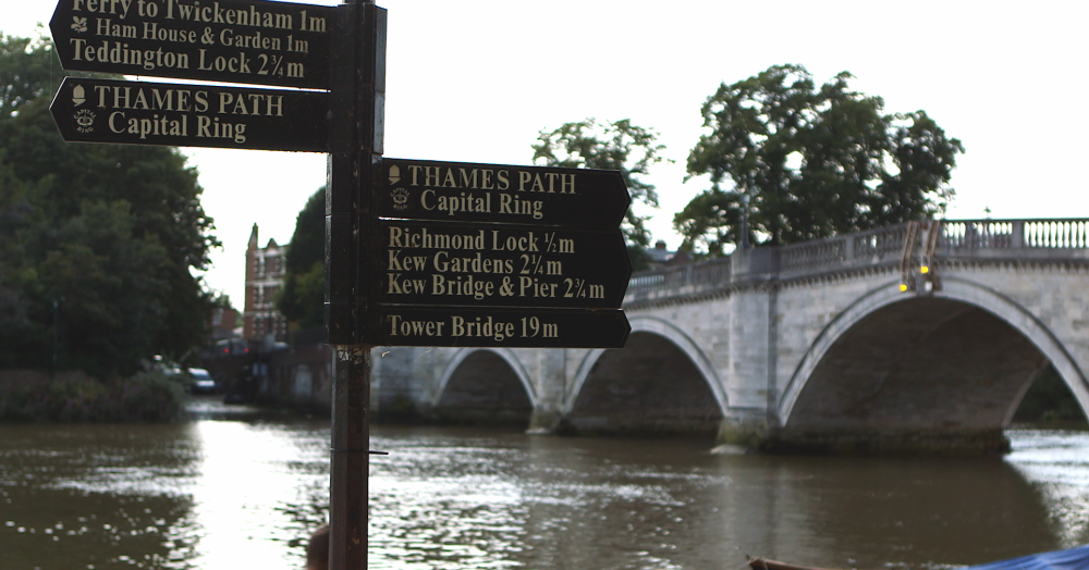 Cantell & Co Market Reflections: A Bright Start to 2026 and What It Means for You