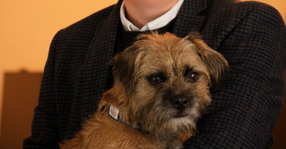 Discovering Dog-Friendly Richmond upon Thames: A Haven for Paws and Their People