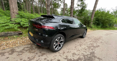 We love Greta & Center Parcs as Hadleigh & Hockley estate agency goes green!